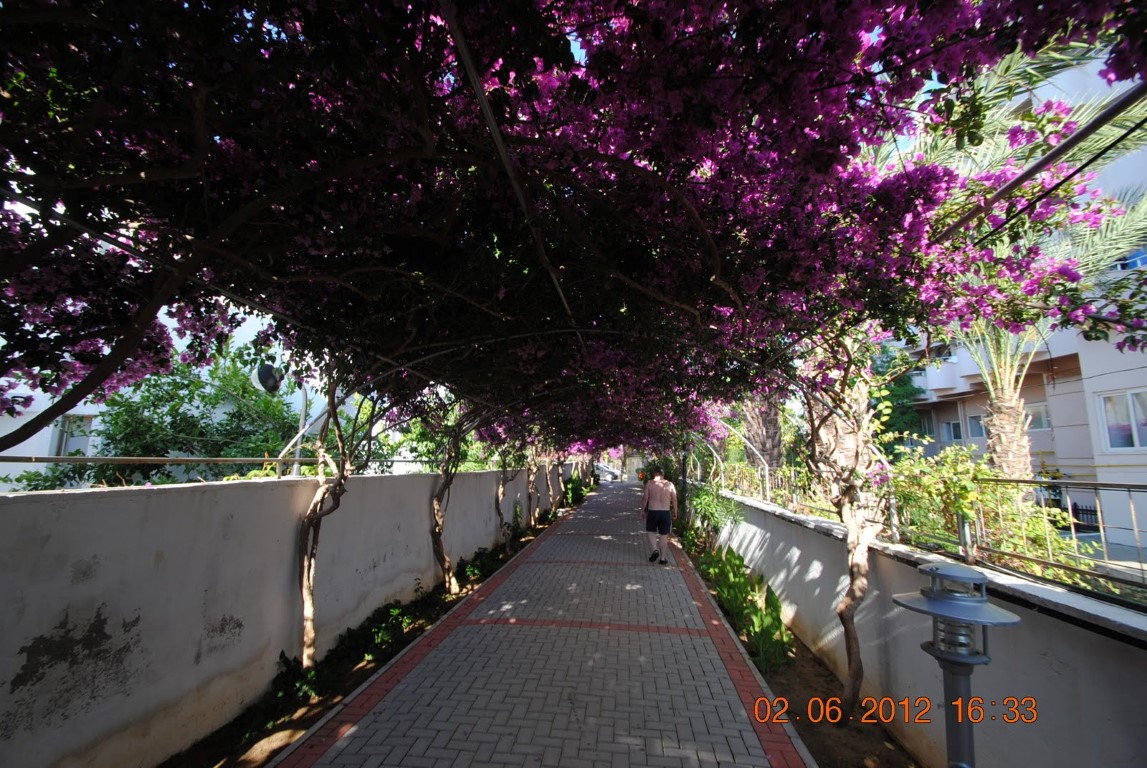 imagini hotel ALAIYE RESORT ALANYA